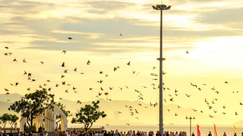 After the Merger, Nha Trang’s Core Area Poised to Attract Young Workforce with Economic, Tourism, and Job Opportunities