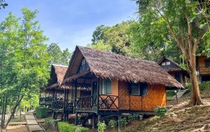 Bungalow là gì? Ưu, nhược điểm của nhà Bungalow