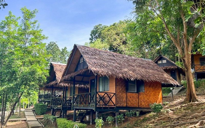 Căn nhà bungalow một tầng với thiết kế gần gũi thiên nhiên