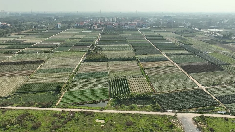 Đất HNK thuộc nhóm đất nông nghiệp, không được xây dựng nhà ở khi chưa chuyển đổi mục đích sử dụng đất theo quy định