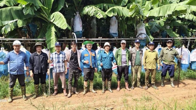 Câu chuyện 10 ngày đồng hành sản xuất tại KD Green Farm: Khi sức mạnh tập thể được tạo nên từ những điều giản dị