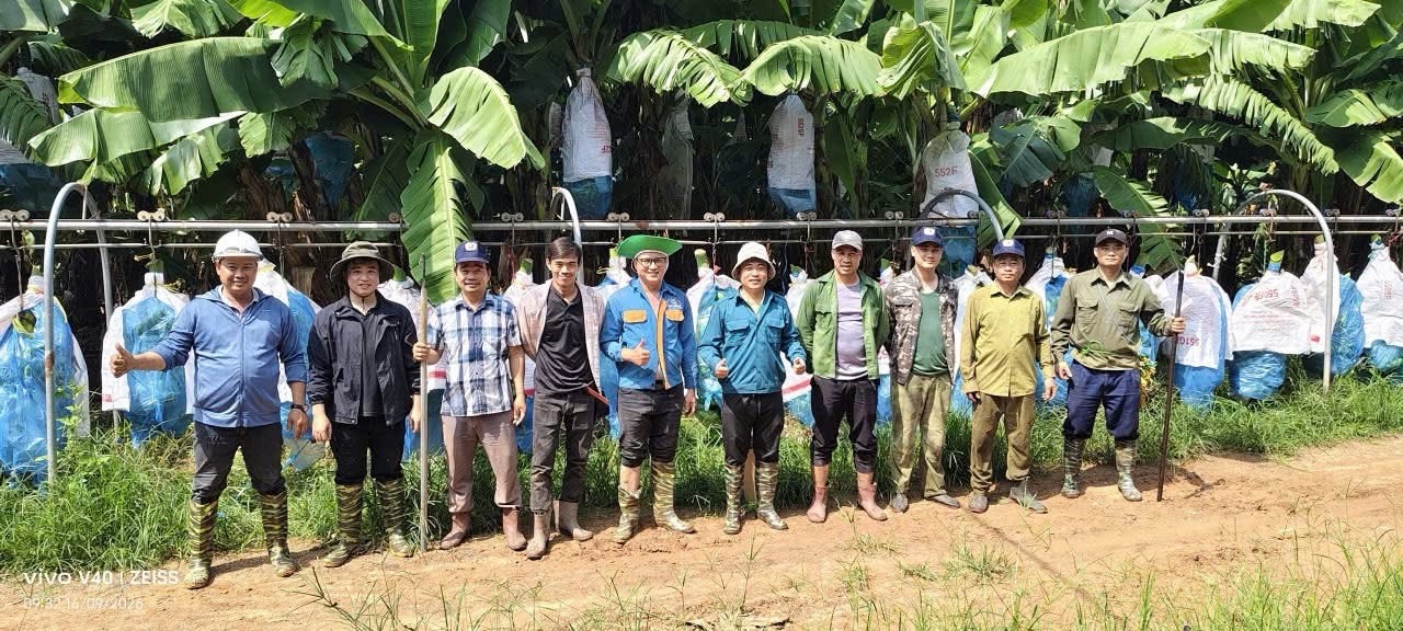 Câu chuyện 10 ngày đồng hành sản xuất tại KD Green Farm: Khi sức mạnh tập thể được tạo nên từ những điều giản dị